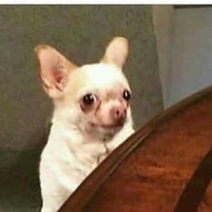 Meet your Posher, Roxanne